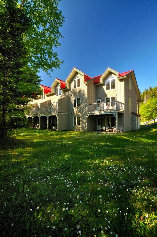 Marblewood Village Resort Steady Brook 객실 사진