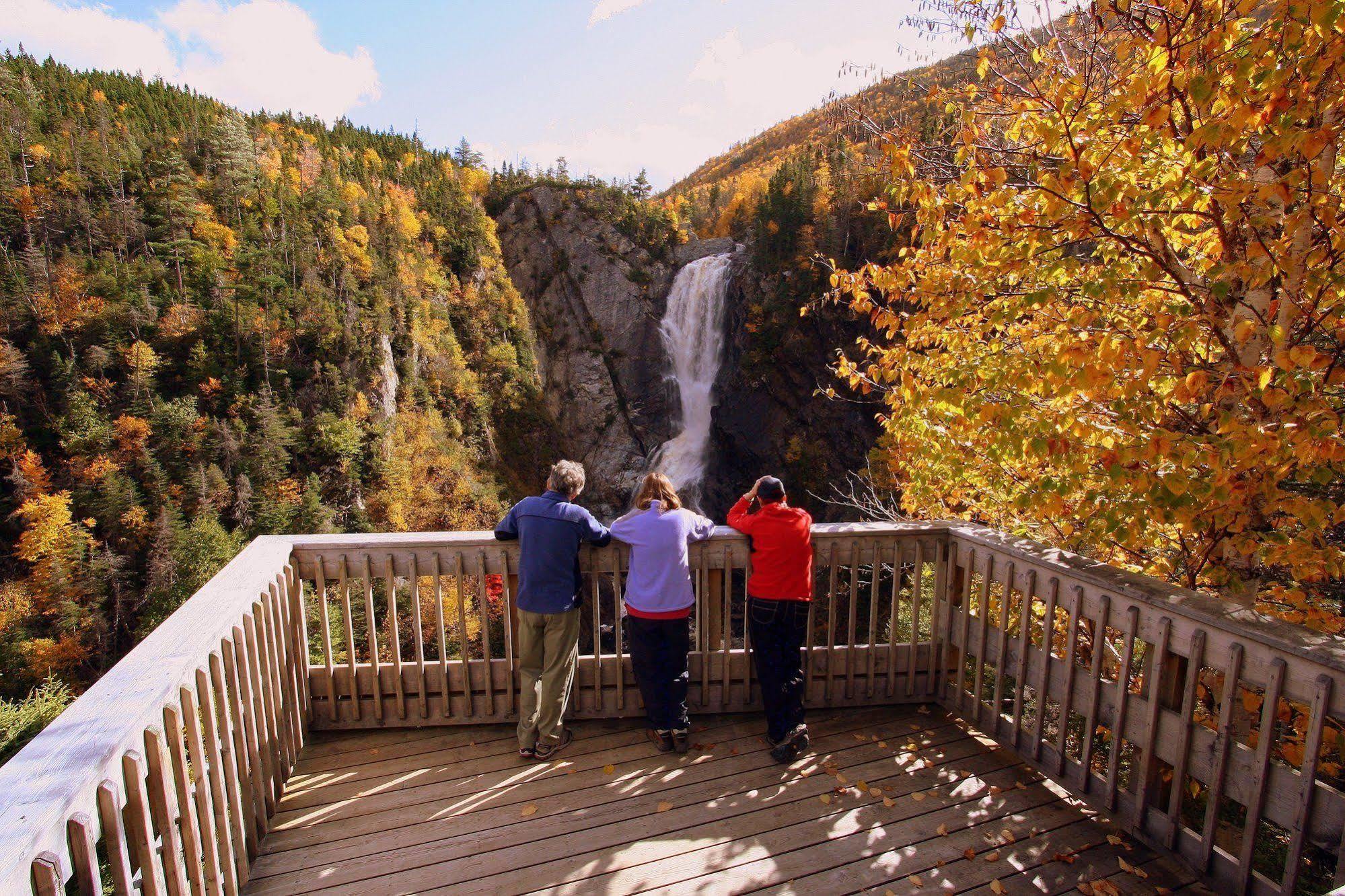 Marblewood Village Resort Steady Brook 외부 사진