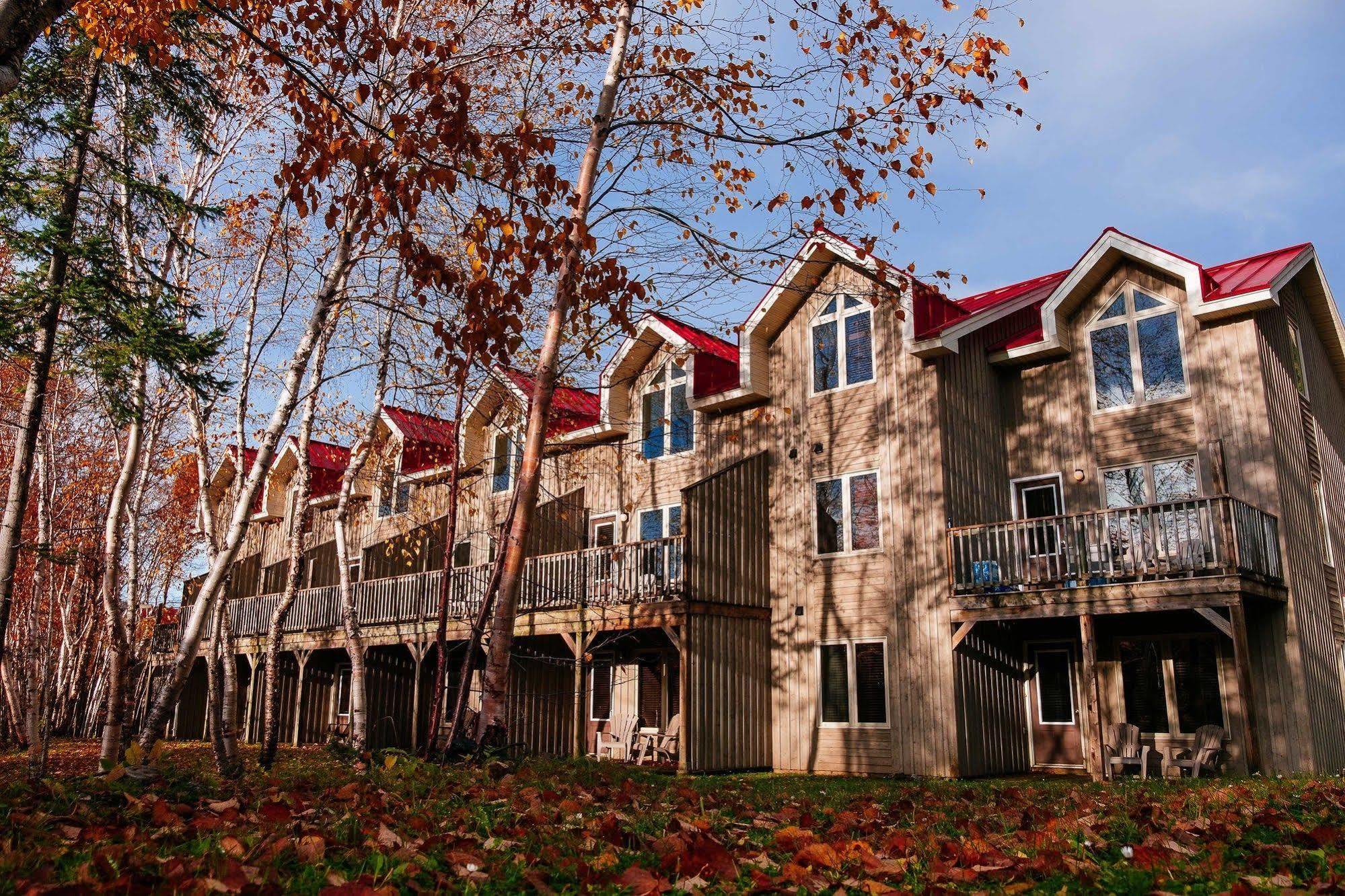 Marblewood Village Resort Steady Brook 외부 사진