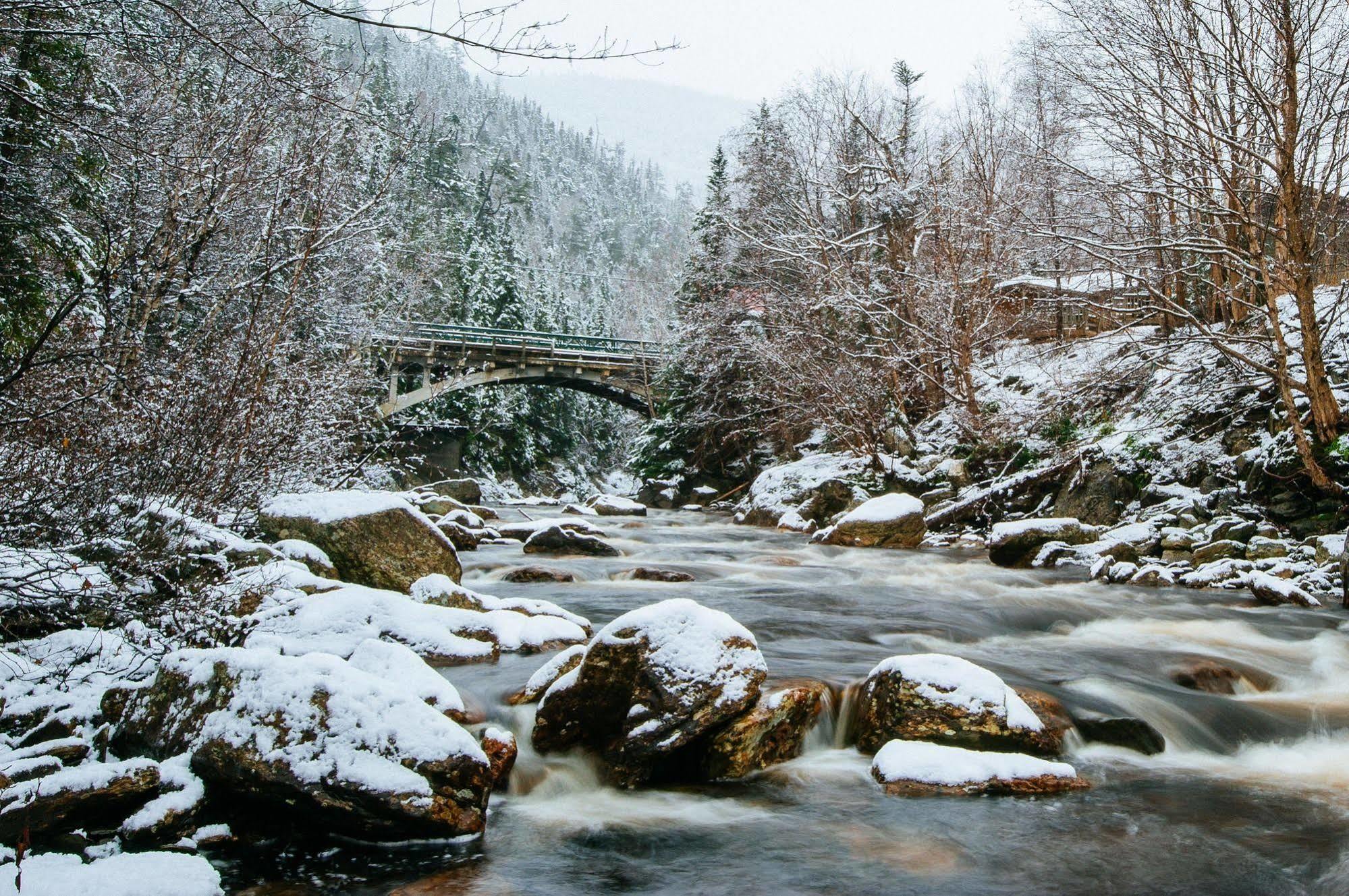 Marblewood Village Resort Steady Brook 외부 사진